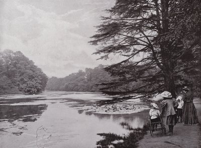 Wanstead Park od English Photographer