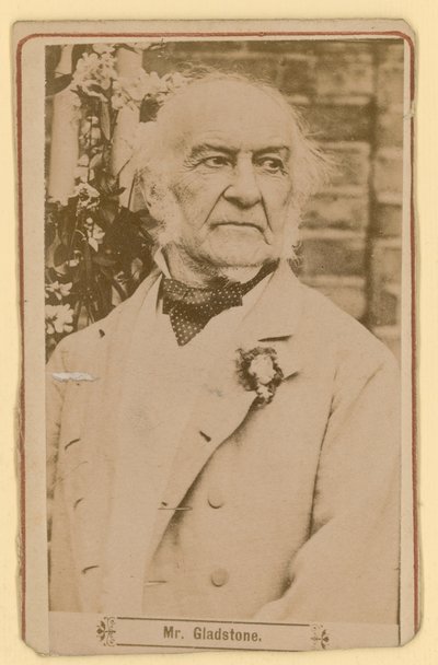 William Ewart Gladstone od English Photographer