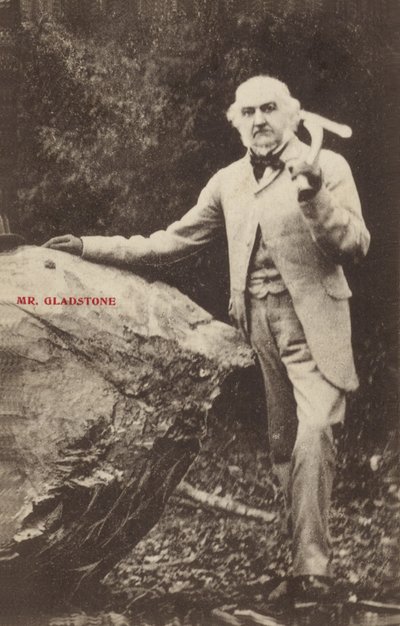 William Ewart Gladstone od English Photographer