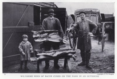 Wiltshire strany slaniny sušené na farmě v přístavku (černobílá fotografie) od English Photographer