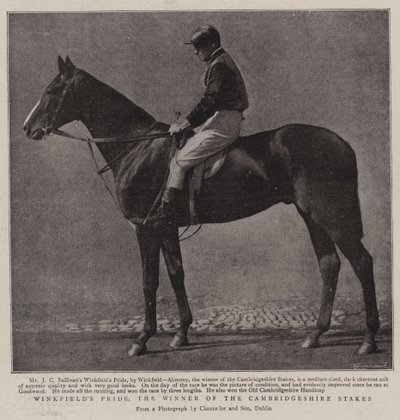 Winkfields Pride, vítěz Cambridgeshire Stakes od English Photographer