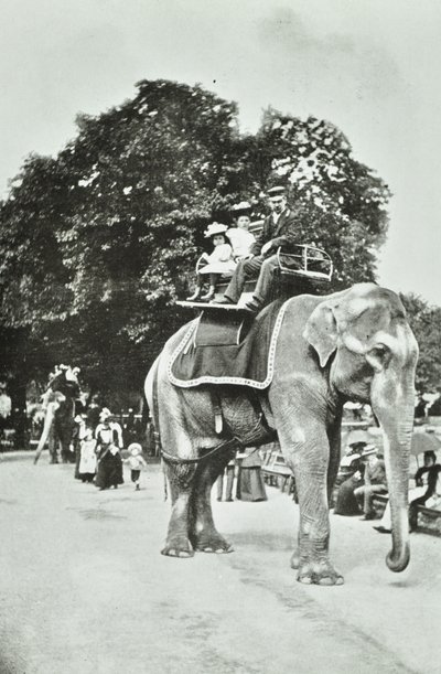 Zoologická zahrada, Regents Park: vyjížďky na slonech, Londýn, kolem roku 1895 od English Photographer