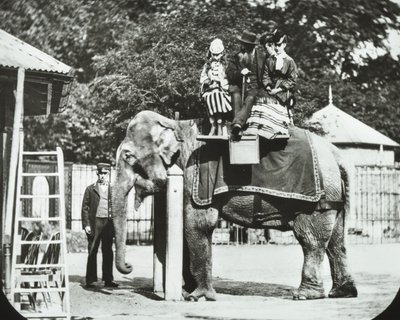 Zoologická zahrada, Regents Park: slon s dospělými a dětmi na projížďce, London Zoo, 1894 od English Photographer