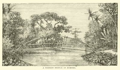 Bambusový most na Borneu od English School