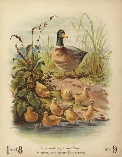 Kachna a osm kachňat (chromolitho) od English School