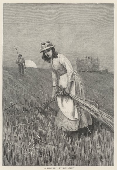 A Gleaner (rytina) od English School
