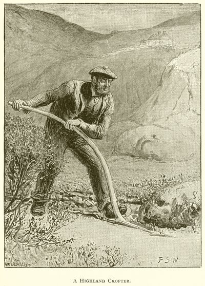 Highland Crofter od English School