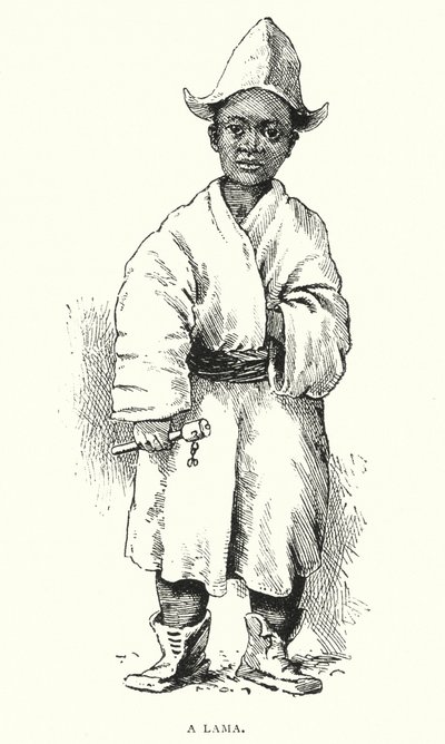 A Lama (rytina) od English School