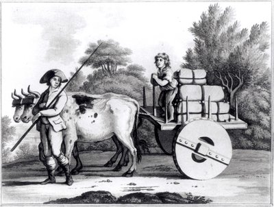 Portugalská farma, od A General View of the State of Portugal od Jamese Murphyho, publikoval 1797 od English School