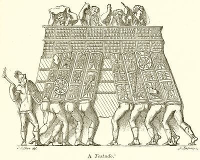 Testudo od English School