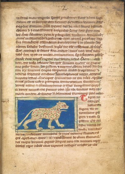 Tygr, ze Sloane 3544, f.2 (pergamen) od English School