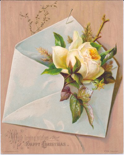 Viktoriánské vánoční přání zobrazující obálku, z níž vyčnívá růže, kolem roku 1880 od English School