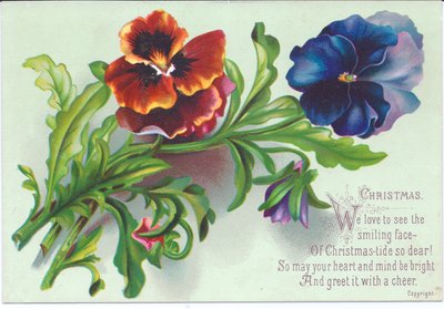 Viktoriánské vánoční přání spreje na macešky, c.1880 od English School