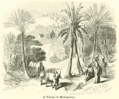 Vesnice na Madagaskaru od English School
