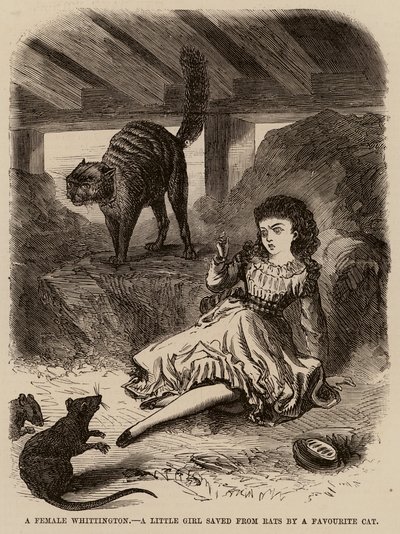 Fenka Whittington, holčička zachráněná před krysami oblíbenou kočkou (rytina) od English School