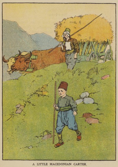Malý makedonský povozník (barva litho) od English School