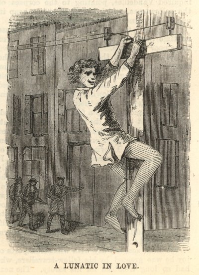Zamilovaný šílenec od English School