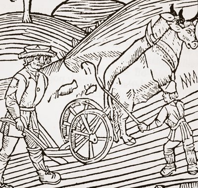 Pár volů zapřáhnutých do pluhu, titulní strana Johna Fitzherbertse Boke of Husbandry, první hospoda. 1523 od English School