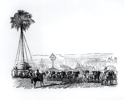 Palma byla převezena do Hyde Parku na Velkou výstavu v Londýně v roce 1851 od English School