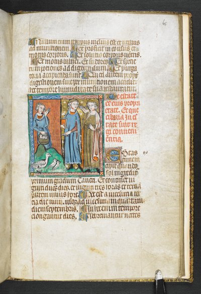 Přidejte MS 47680, f.65r Aristoteles ukazující na ptáky přinesené králi, z Secretum Secretorum, c.1326-27 (vellum) od English School