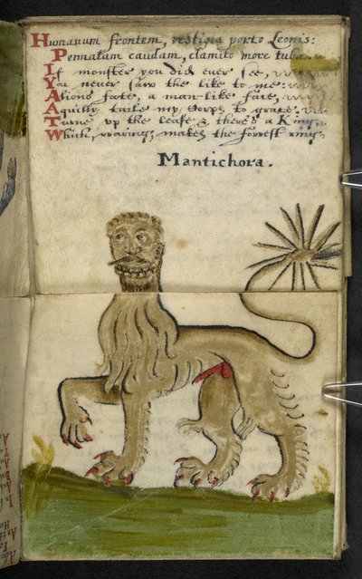 Přidat herní knihu MS 57312 f11 (inkoust a barva na pergamenu) od English School