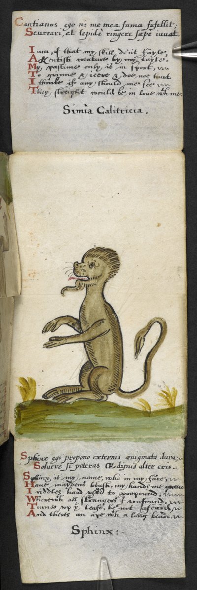 Přidat herní knihu MS 57312 f.14 (inkoust a barva na pergamenu) od English School