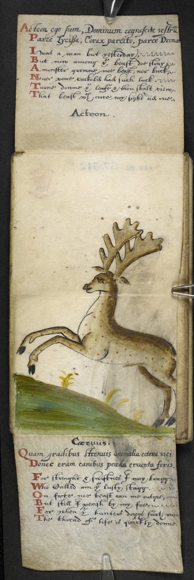 Přidat herní knihu MS 57312 f.15 (inkoust a barva na pergamenu) od English School