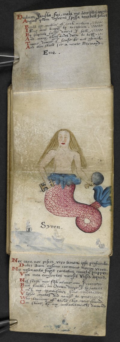 Přidat herní knihu MS 57312 f.2 (inkoust a barva na pergamenu) od English School