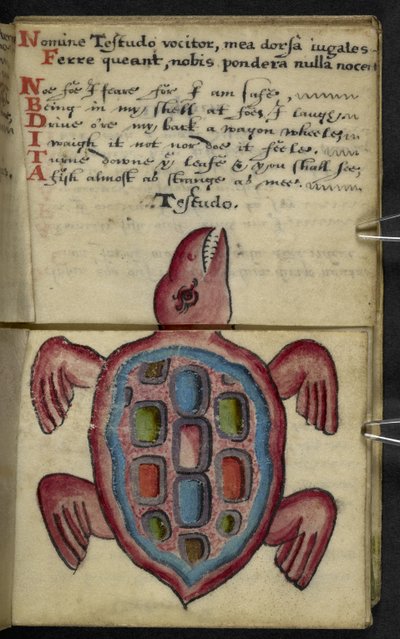Přidat herní knihu MS 57312 f.5 (inkoust a barva na pergamenu) od English School