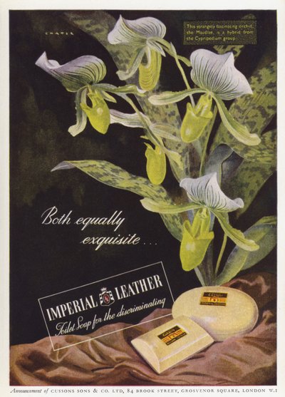 Reklama na mýdlo Cussons Imperial Leather (barva lito) od English School