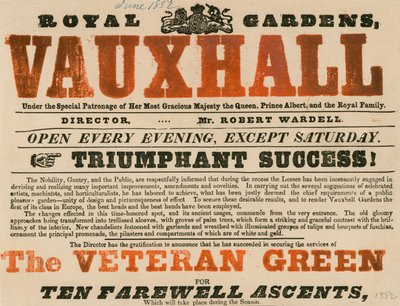 Reklama pro Royal Garden, Vauxhall; Vauxhall Gardens, Londýn od English School