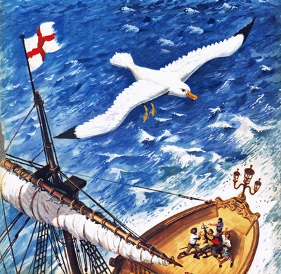 Albatros od English School