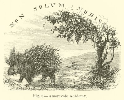 Milující akademie od English School