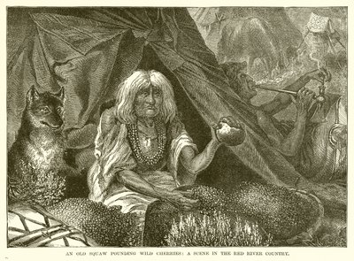 Stará squaw bušící do divokých třešní: Scéna v Red River Country od English School