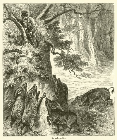 Nepříjemná oprava (rytí) od English School