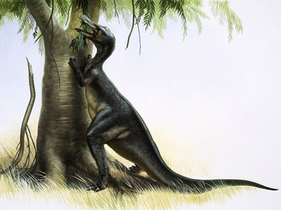 Anatosaurus od English School