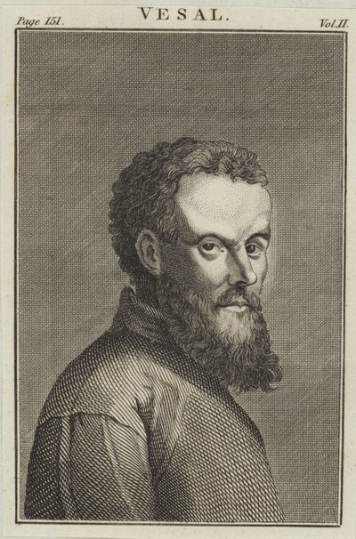 Andreas Vesalius od English School
