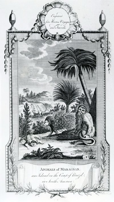 Zvířata z Maragnanu, ilustrace převzata z Moores Voyages and Travels, 1778 od English School