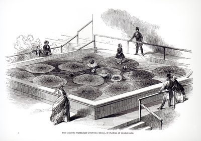 Annie Paxtonová na leknínu Victoria regia ve Velké zimní zahradě v Chatsworthu, 1849 od English School