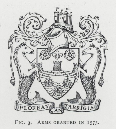 Zbraně uděleny v roce 1575 (rytina) od English School