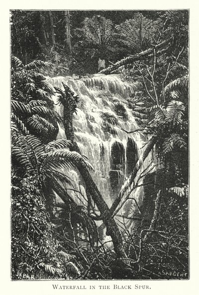 Austrálie: Vodopád v Black Spur (rytina) od English School