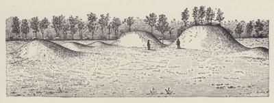 Avondale Mounds, okres Washington, Mississippi (litografie) od English School