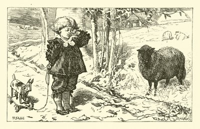 Nebo, nebo, černá ovce od English School