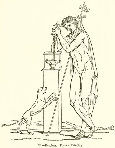 Bacchus od English School