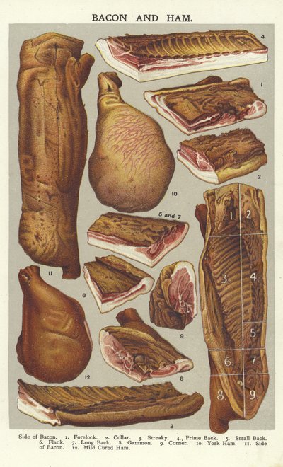 Slanina a šunka od English School