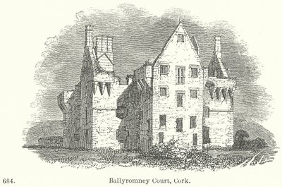 Ballyromney Court, Cork (rytina) od English School
