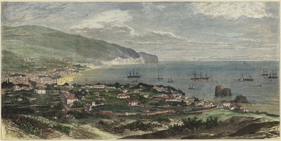 Zátoka a město Funchal od English School