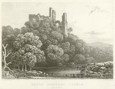 Berry Pomeroy Castle, Devonshire (rytina) od English School