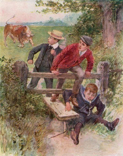 Pozor na býka! (barva lito) od English School