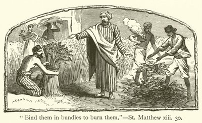 „Svažte je do svazků, abyste je spálili“, St Matthew, xiii, 30 (rytina) od English School